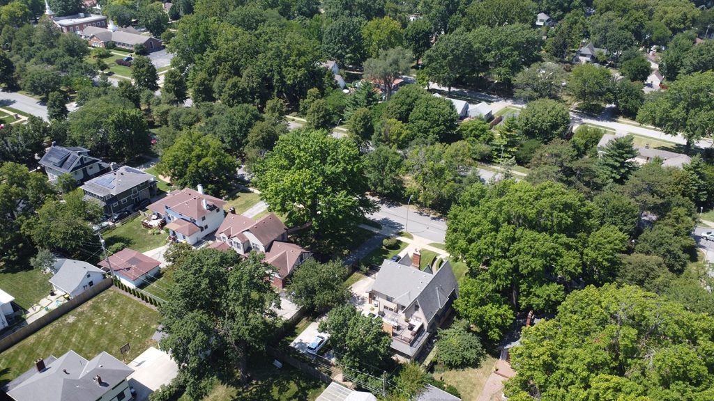 Custom Decks Design, Replacement & Repair AI Deck Solutions